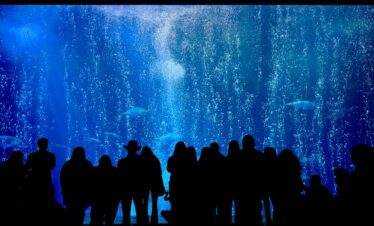 Singapore city attractions holiday package from Dubai