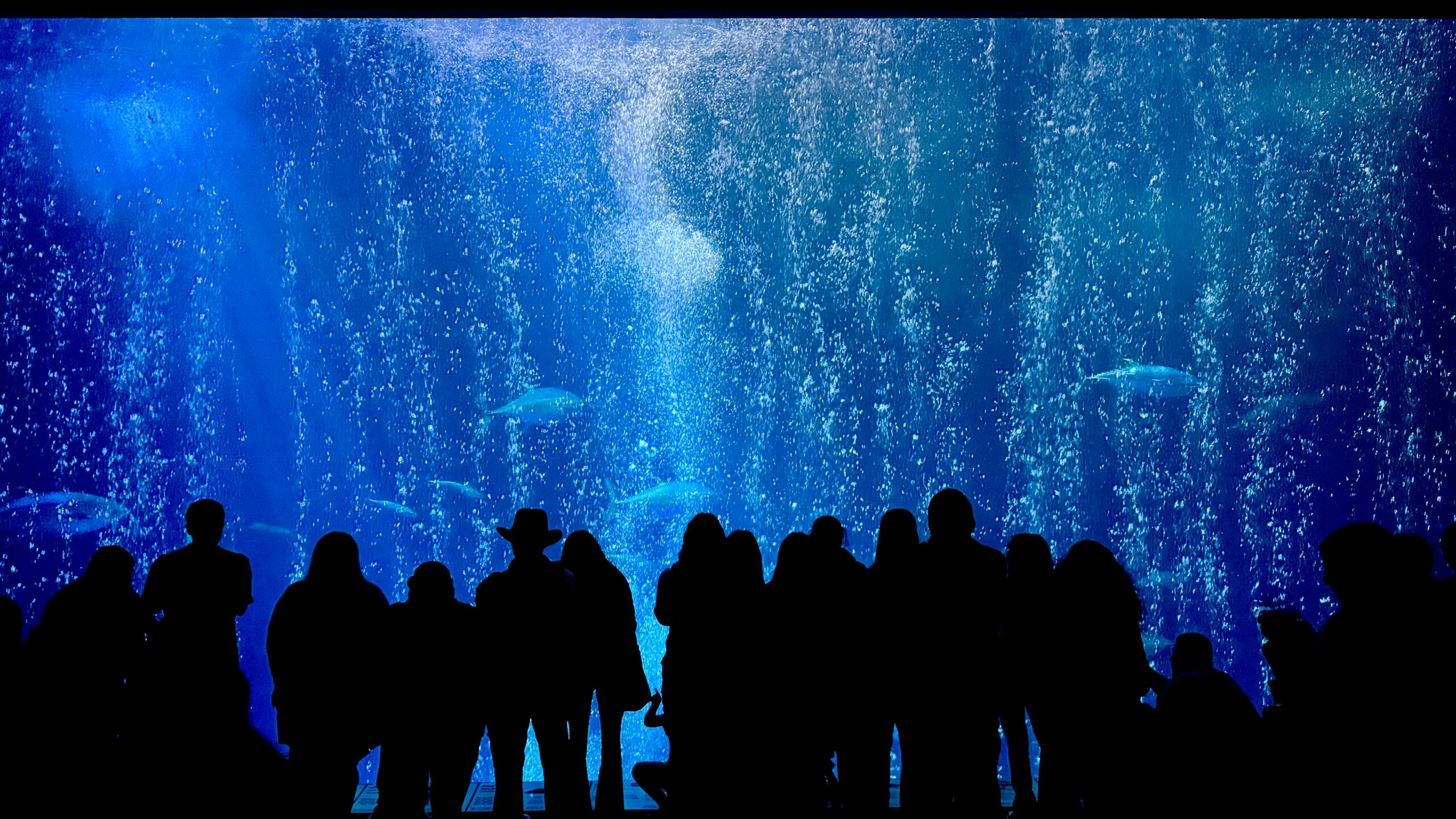 Singapore city attractions holiday package from Dubai